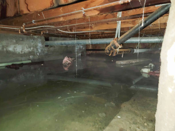  Clovis, CA Water damage restoration Pros